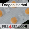 Dragon Herbal 24